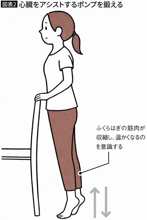 【図表2】心臓をアシストするポンプを鍛える