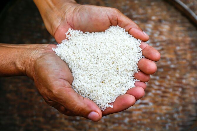 手農家の米粒