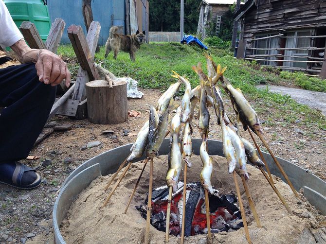 集落を流れる山熊田川でとれたアユを焼く