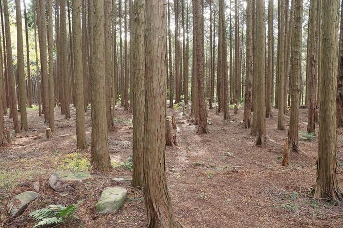 「松永屋敷」は江戸時代作の「信貴山古城図」の記載による