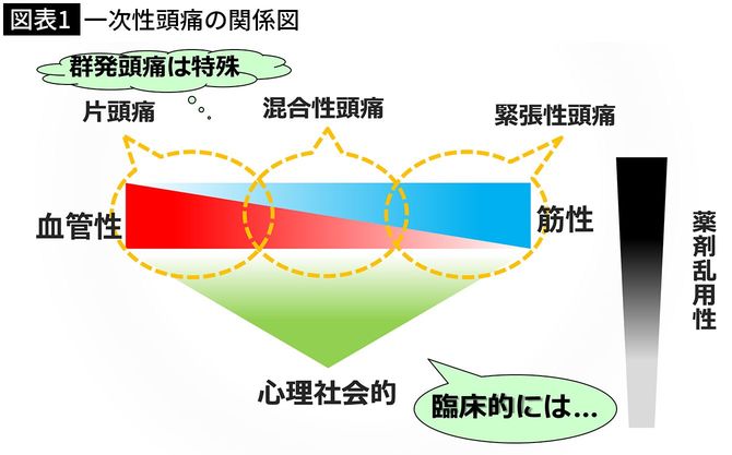 一次性頭痛の関係図