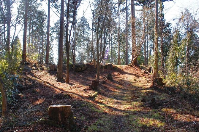 三ノ丸。城門に接続していた石垣が残存