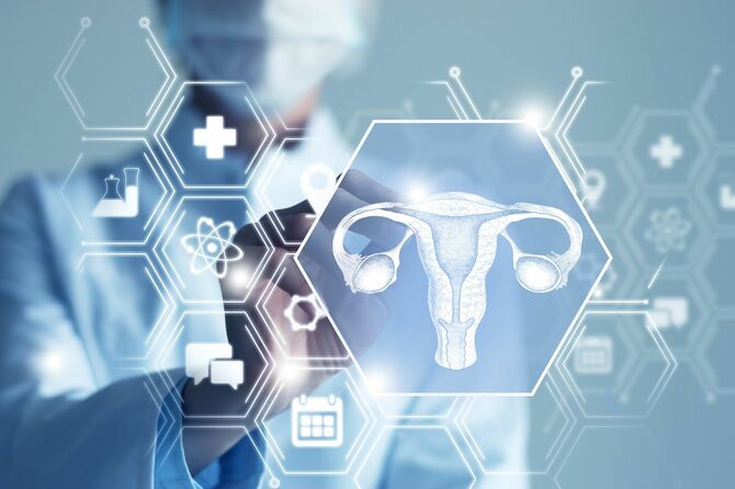 子宮臓器のグラフィックアイコンに触れる女性医師