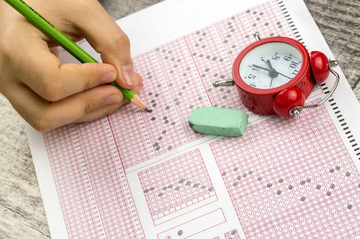 ※写真はイメージです