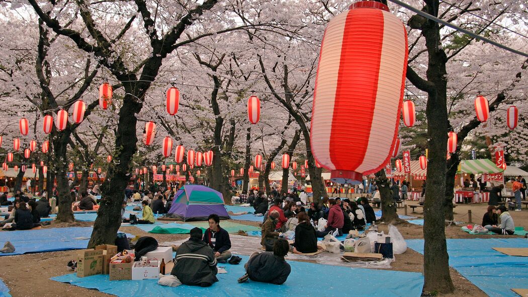 昼酒､徹夜､ゴミの山…なぜ日本人は花見で酒を飲んで乱れるのか?