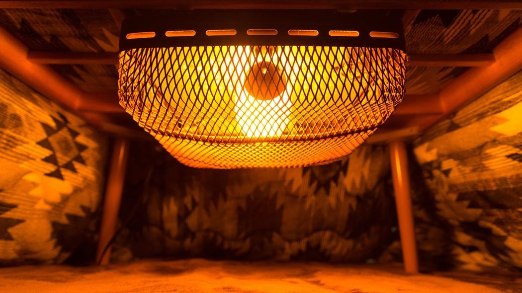 ｢妻は毎晩コタツで爆睡｣彼女が1日も切れたことのないモテ男が結婚して天を仰いだしょっぱい女性教員の本性 ウエディングドレス姿に｢女の一番きれいな瞬間がコレか｣と思った