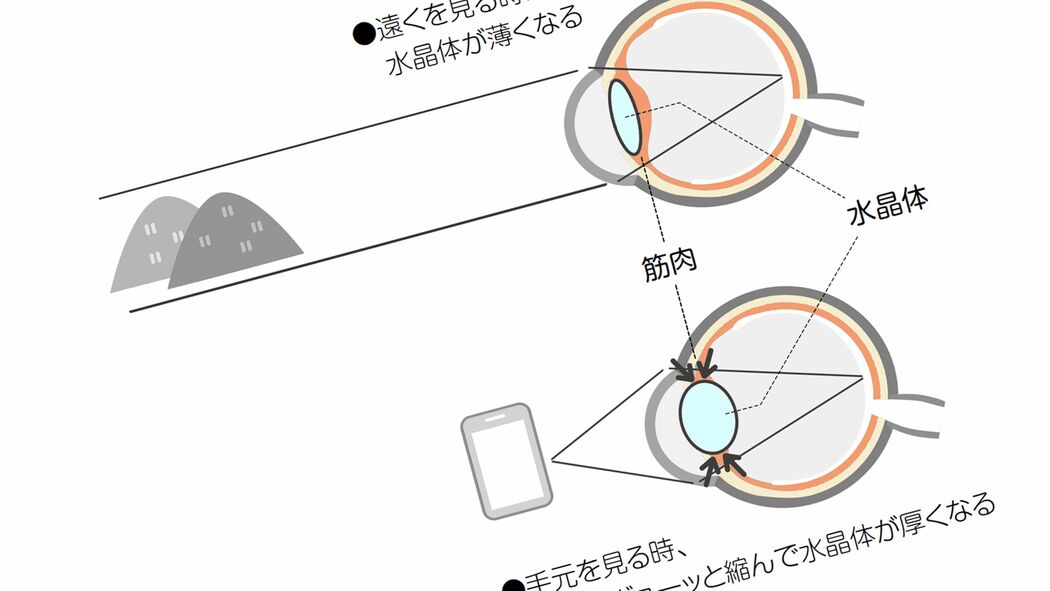 仕事･読書･スマホ操作の全てが不自由に…眼科医｢20代に増加"スマホ老眼"が発症したら真っ先にすべきこと｣ 老眼鏡をすぐに作ったほうがいいこれだけの理由