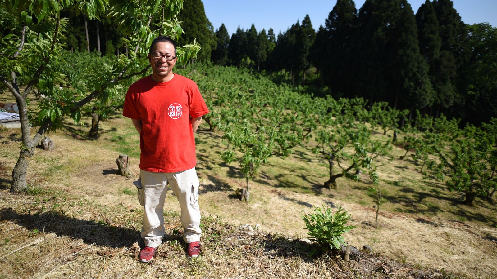 年商20万円の栗農家が｢食えるようになる｣まで 3年間は深夜のアルバイトと両立