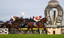 ｢競馬史上最高のドリームレース｣ジャパンカップ､栄冠に輝く馬はこれだ