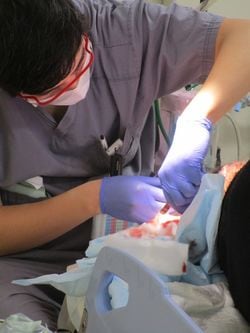 ERでの治療は時間との闘いになる