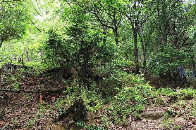 ここから先が城域だとわかる切岸