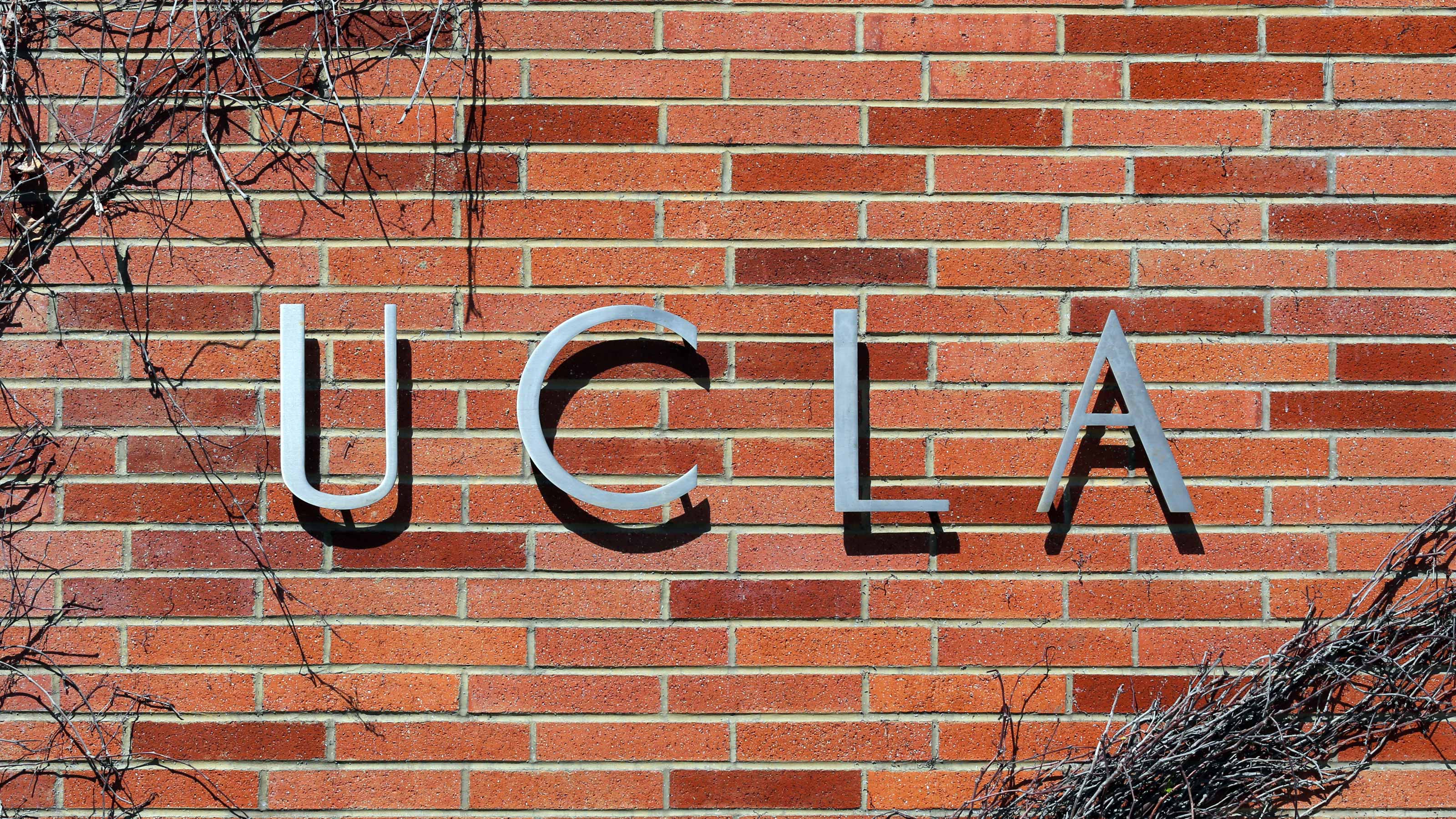 セール ucla 服 なぜ