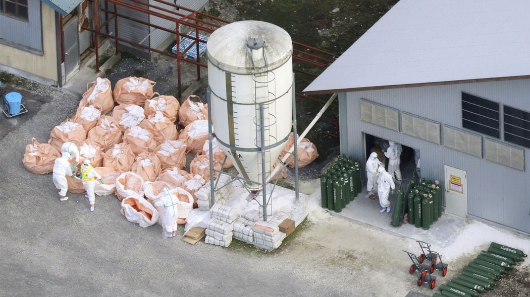 ｢ニワトリがかわいそう｣と言っていられない…鳥インフル発覚で"一羽残らず殺処分"が当たり前になったワケ ｢卵の値段｣より大事なものがある