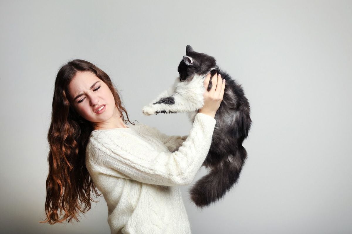 ネコを抱き上げて嫌がる女性