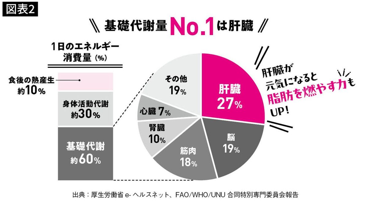 1日のエネルギー消費量の割合と、基礎代謝の内訳