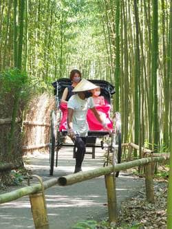 200kgの車体を引いて毎日20km以上走る｣最年長52歳の人力車夫がこの仕事