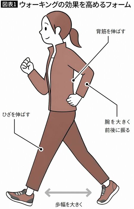 【図表1】ウォーキングの効果を高めるフォーム