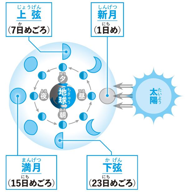 図版=左巻健男『1日1ページで小学生から頭がよくなる! 科学のふしぎ366』(きずな出版)より
