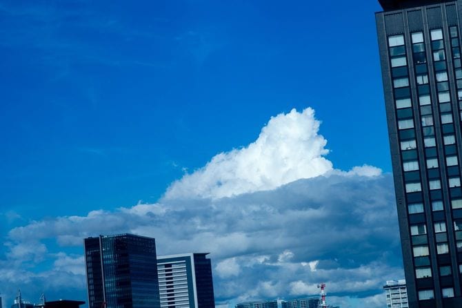 取材したビルから見える夏の風景