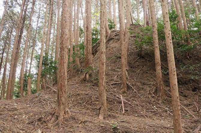 同じ堀切を堀底より