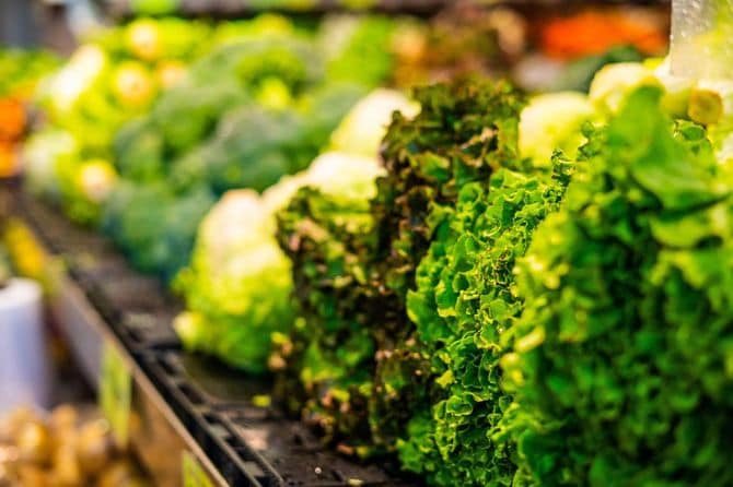 陳列されたレタス