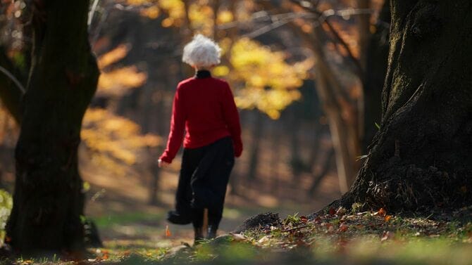 公園を歩く白髪の女性