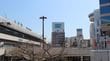 そりゃ暮らしてみなけりゃわからんわ…｢住みたい街4位｣なのに"住みごこち433位"の意外な街の名前