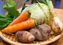 ロボットやICT技術が野菜を育てる「スマート農業」の時代へ