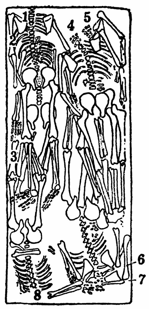 発掘された人牲遺体