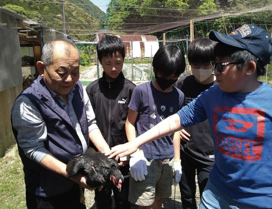 すさみ町では地元の方の協力の下、シャモ鶏の解体ワークショップも。目の前で屠殺して解体、焼いて食べるまでを行った。