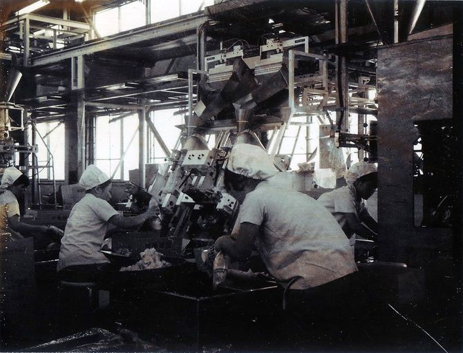 機械化された当時の工場（板橋区成増）