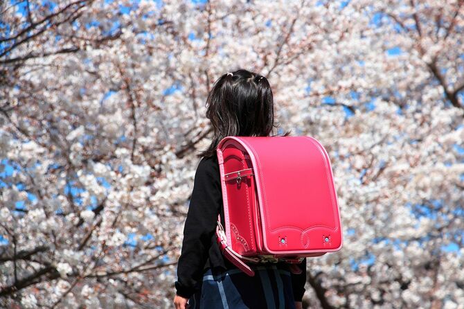 桜を見ているランドセルをしょった小学校