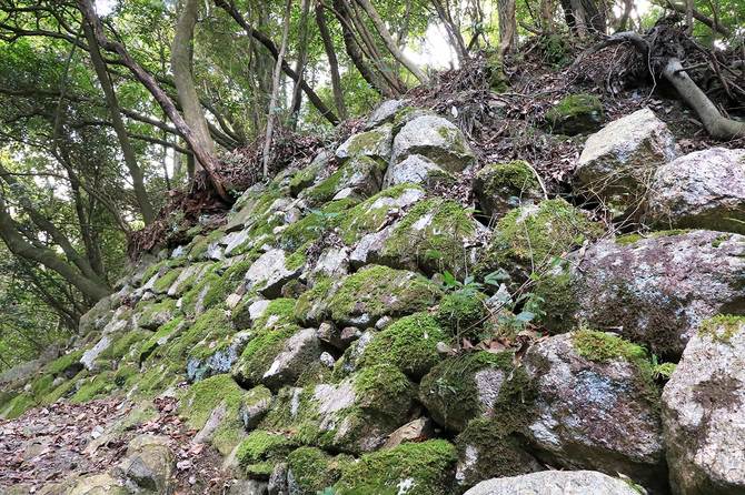 登山道から見えていた石垣。城内最大の幅と高さ