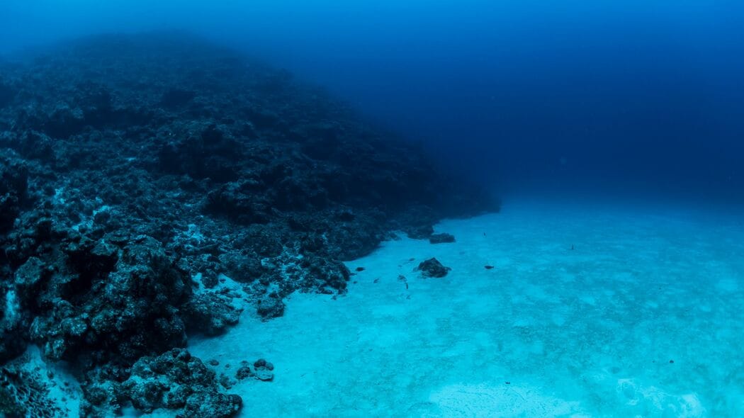 北極海で見つかった｢400年近く生きる生物｣がSNSで拡散される…その生物の正体は?本当に400歳?