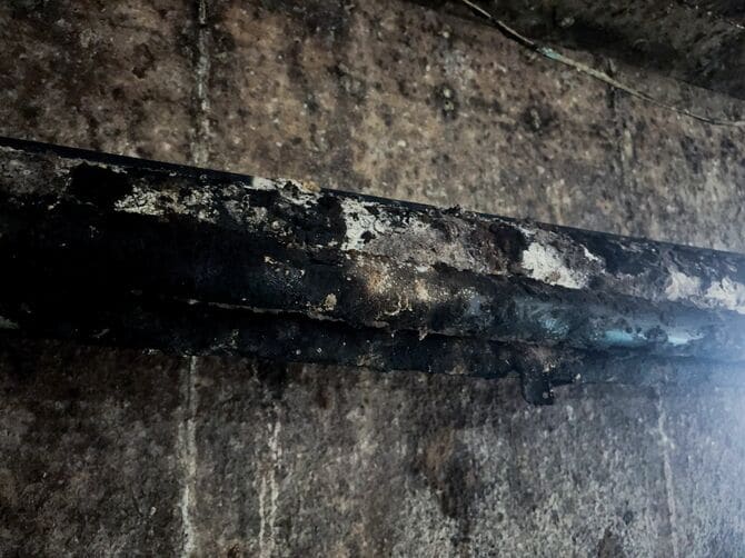 蔵の壁。蔵に住み着く菌の働きが醤油の味や香りに大きく影響するという