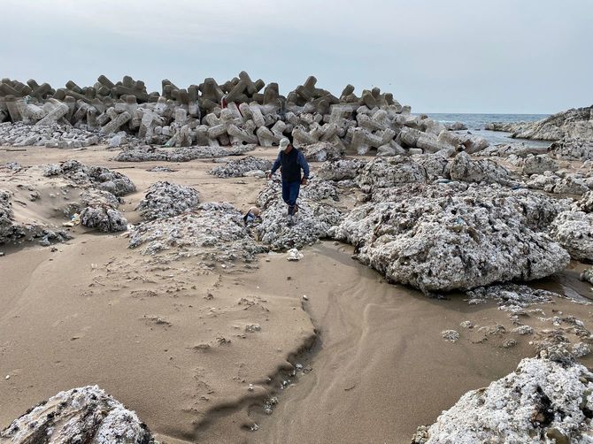 4メートル以上隆起した黒島漁港にて