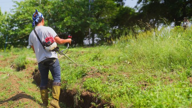 草を刈る