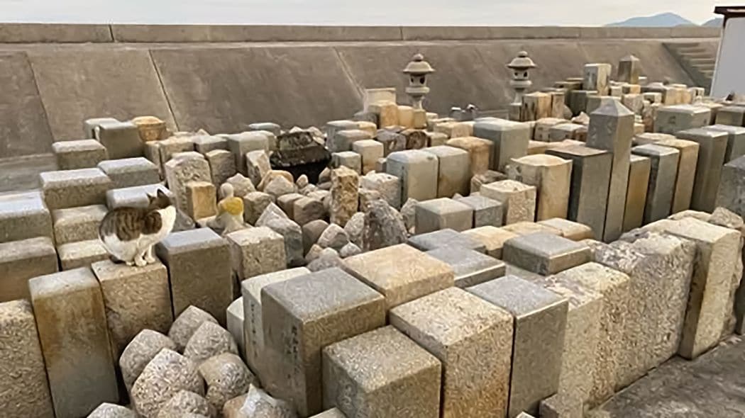 日本人はダムに堰き止められ“放水”されて逝く…今後50年続く多死社会で一番安らかに眠れる場所はどこか 家の墓じまいは無事終えても､自分の墓の選択を失敗･後悔する人が続出