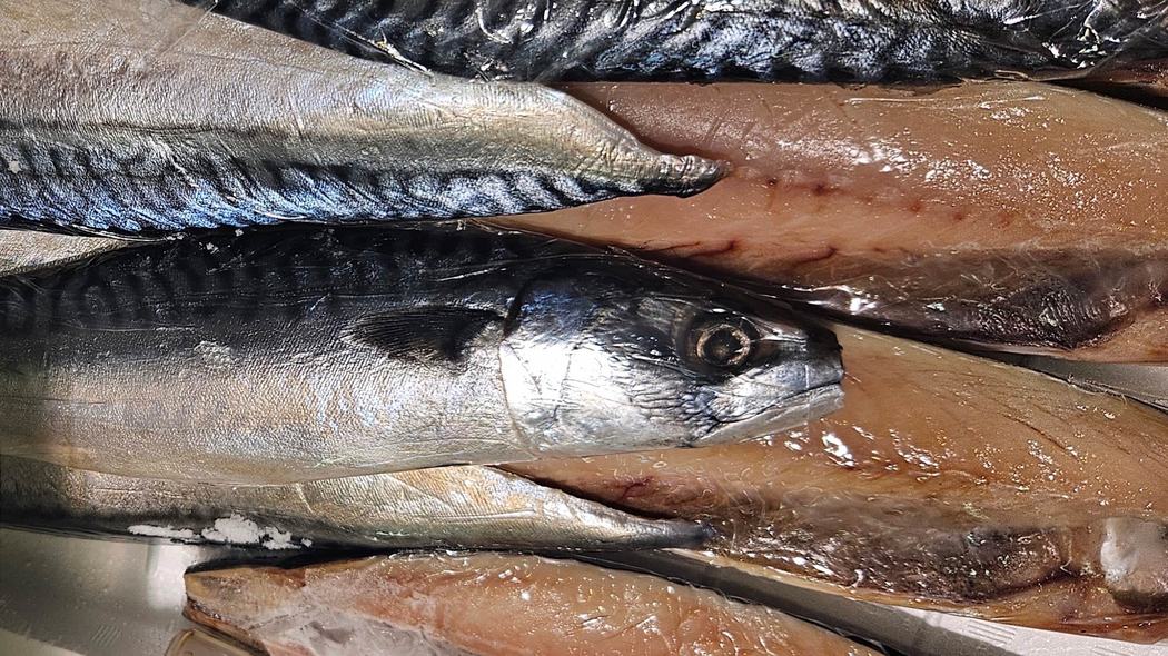 国産では自信を持ってお客に出せない…創業70年の名店が｢サバの文化干し｣をノルウェー産に切り替えたワケ アジの開きも韓国産とヨーロッパ産頼み