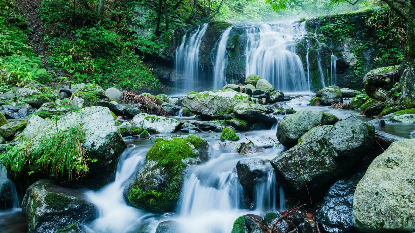 日本の水でなければ｢本当の和食｣は作れない…世界で唯一の食文化が日本で生まれた科学的理由 昆布から旨味成分を取り出すのには軟水が最適