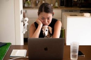 在宅ワーク中。