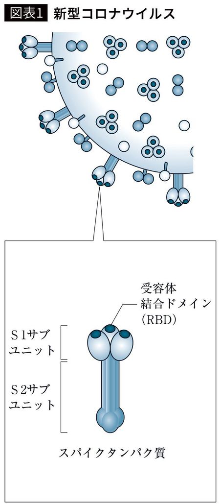 【図表1】新型コロナウイルス