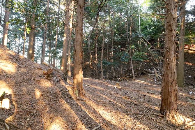 大空堀の正面にそびえるのが主郭