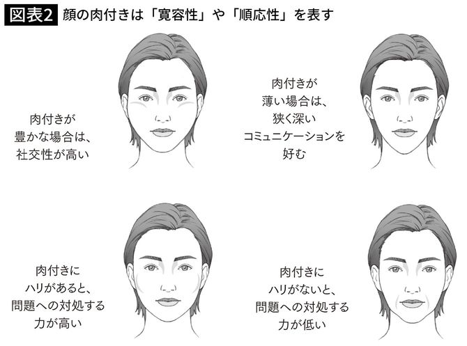 顔の肉付きは「寛容性」や「順応性」を表す