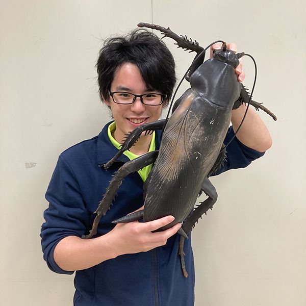 1匹いたら100匹いる 人めがけて飛ぶ 死ぬ直前に卵を産む ゴキブリを愛する男が 都市伝説の誤解を解く 黒い真珠のような おめめ を見たことがあるか President Online プレジデントオンライン