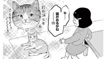 猫との遭遇｡｢ドルアーガより普通に､猫が好き!｣――『まるさんかくしかく』第8話