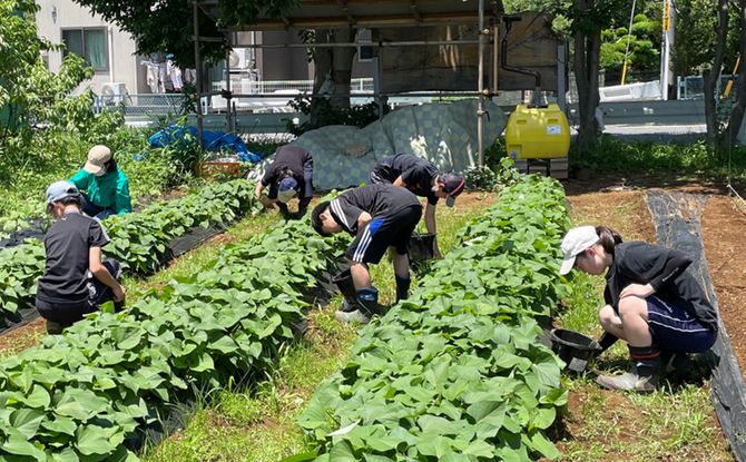 土づくりから農作物の栽培、商品の開発、販売までを1年間かけて、チームで行う。