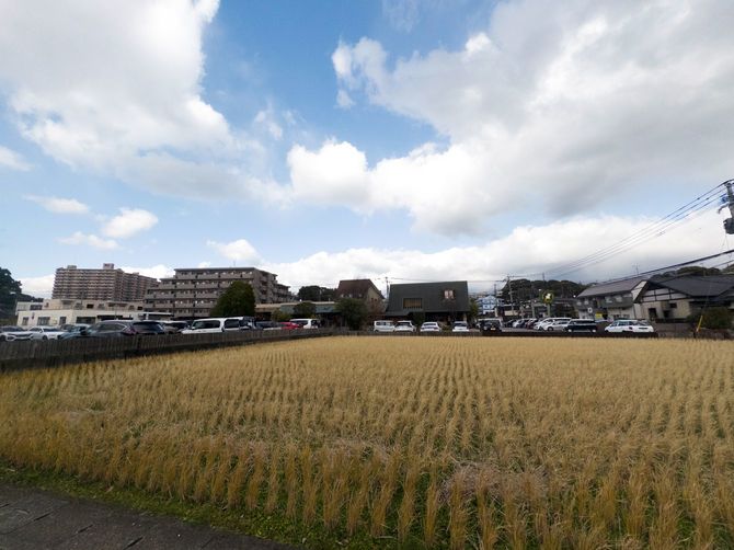 国産小麦パン工房フルフル松崎本店から見える景色