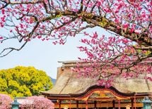 飲み会のメンツに教養があれば文化になる