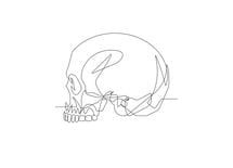 京都大学が盗掘した琉球人骨を返さぬワケ